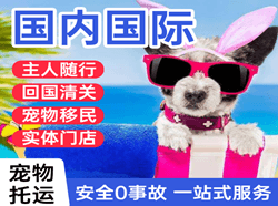 杭州萧山机场空运国际宠物托运 【国